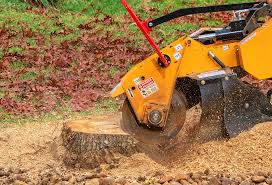 Best Commercial Tree Services  in New Hyde Park, NY