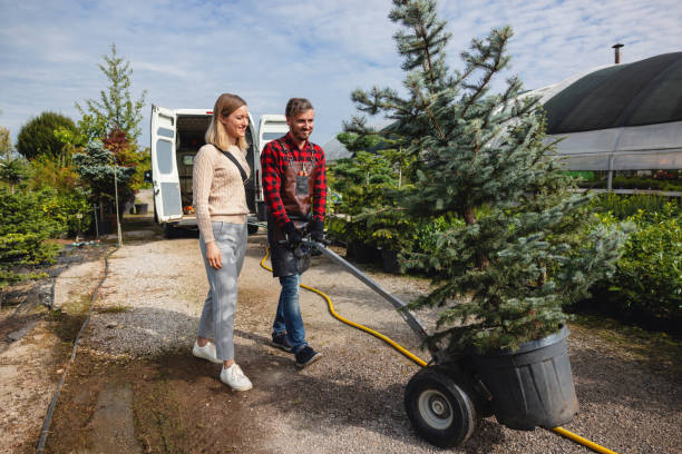 New Hyde Park, NY Tree Services Company